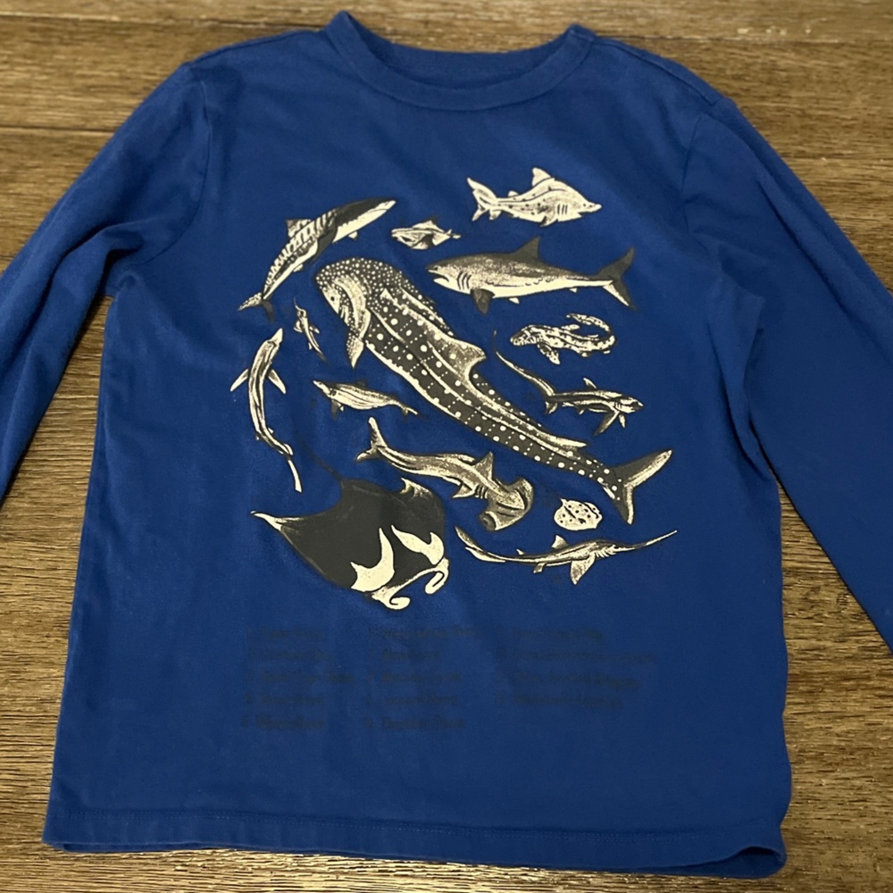 Gap Graphic Long Sleeve T-Shirt